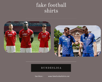 fake Mainz 05 football shirts 23-24